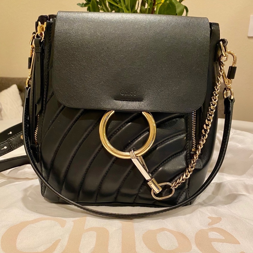 - Chloe Faye Leather Backpack small